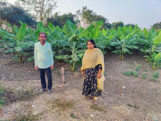 టిష్యూ కల్చర్ అరటికి రెండేళ్ల పాటు రాయితీ