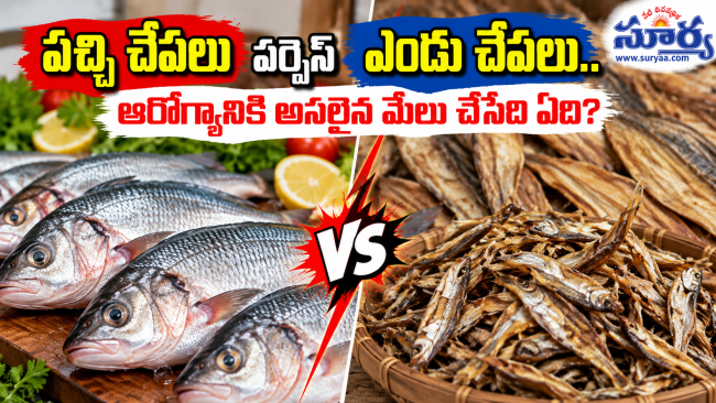 పచ్చి చేపలు వర్సెస్ ఎండు చేపలు.. ఆరోగ్యానికి అసలైన మేలు చేసేది ఏది?