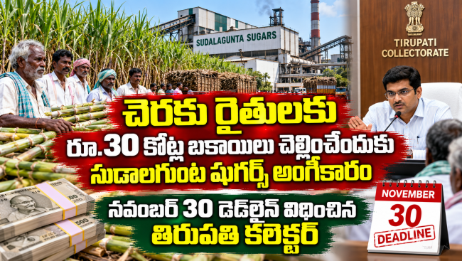 చెరకు రైతులకు రూ.30 కోట్ల బకాయిలు చెల్లించేందుకు సుడాలగుంట షుగర్స్ అంగీకారం