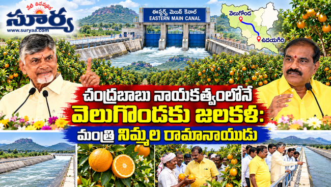 చంద్రబాబు నాయకత్వంలోనే వెలుగొండకు జలకళ: మంత్రి నిమ్మల రామానాయుడు