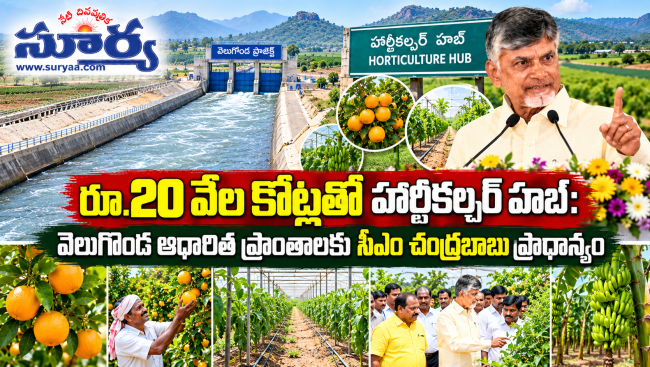  రూ.20 వేల కోట్లతో హార్టీకల్చర్ హబ్: వెలుగొండ ఆధారిత ప్రాంతాలకు సీఎం చంద్రబాబు ప్రాధాన్యం