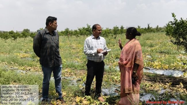 భారీ వర్షాలతో పుచ్చకాయ పంటకు నష్టం