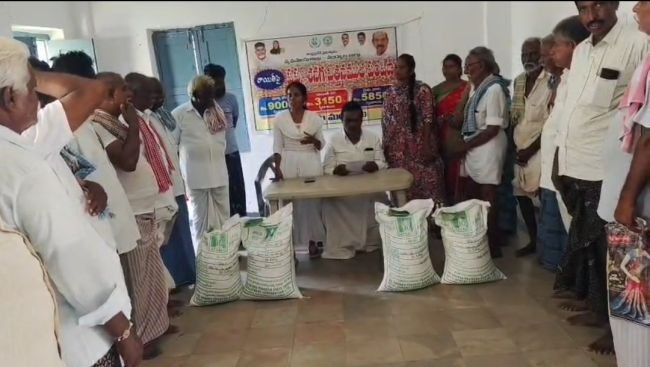 35 శాతం సబ్సిడీతో శనగ విత్తనాల పంపిణీ- గోస్పాడు టిడిపి మండల కన్వీనర్ కాటంరెడ్డి తులసీశ్వర్ రెడ్డి