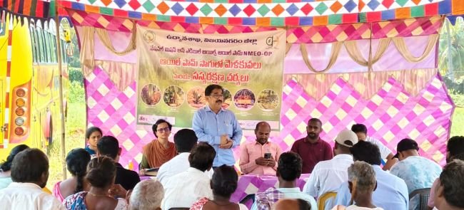 ఆయిల్ ఫామ్ సాగుతో అధిక లాభాలు