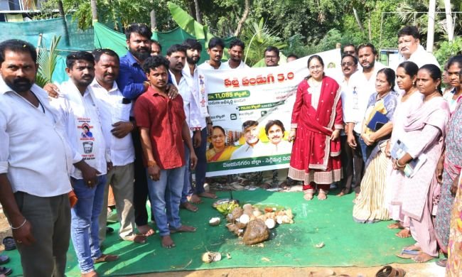 పల్లె బాటకు అభివృద్ధి వెలుగు