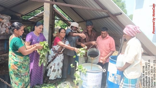 జిల్లేడు ద్రావణంతో ప్రకృతి వ్యవసాయానికి బలం