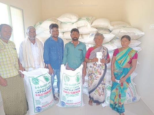 పశువుల దాన పంపిణి 