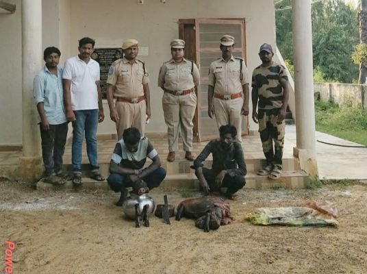 అడవి పందిని వేటాడిన ఇద్దరు వ్యక్తులను పట్టుకున్న ఫారెస్ట్ అధికారులు