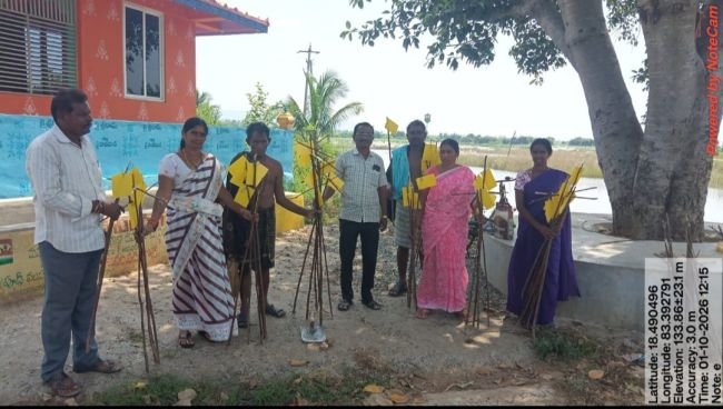 పసుపు జిగురు అట్టలతో పురుగు నియంత్రణ