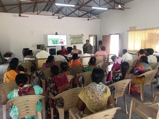 చింతపల్లిలో హెచ్‌డీపీఎస్‌ పత్తిపై రైతులకు శిక్షణా కార్యక్రమం*. 