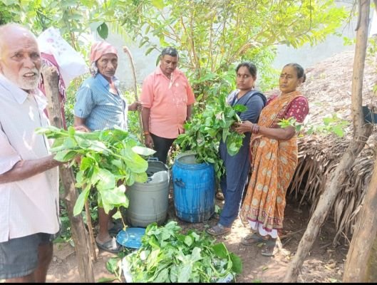 ప్రకృతి ద్రావణాల తయారీ 