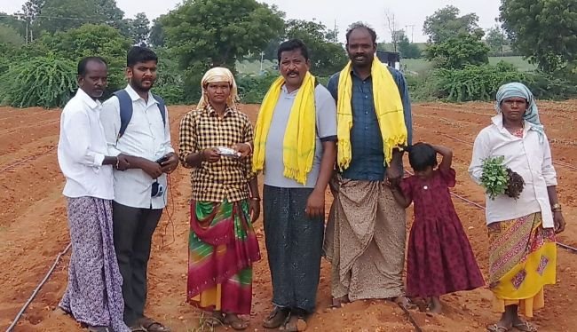 ఎన్టీఆర్ సామాజిక భద్రత పింఛను పంపిణీ – పొలం బాట పట్టిన  టిడిపి నాయకులు, సచివాలయ సిబ్బంది..