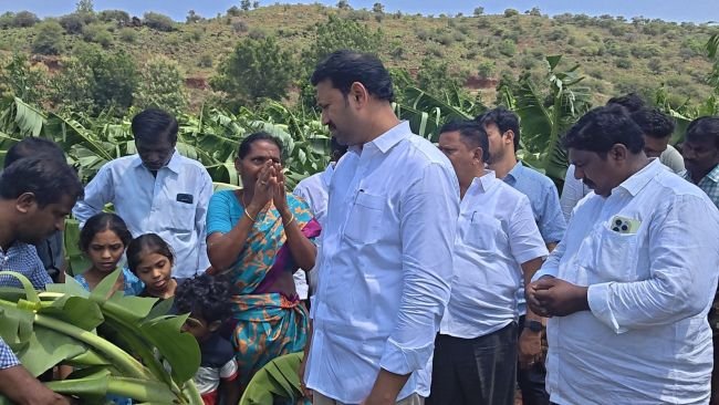 రైతులను ప్రభుత్వం వెంటనే ఆదుకోవాలి  కడప ఎంపీ వైఎస్ అవినాష్ రెడ్డి