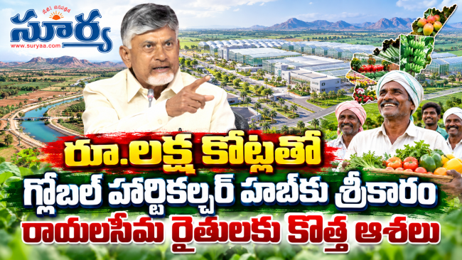  రూ.లక్ష కోట్లతో గ్లోబల్ హార్టికల్చర్ హబ్‌కు శ్రీకారం, రాయలసీమ రైతులకు కొత్త ఆశలు