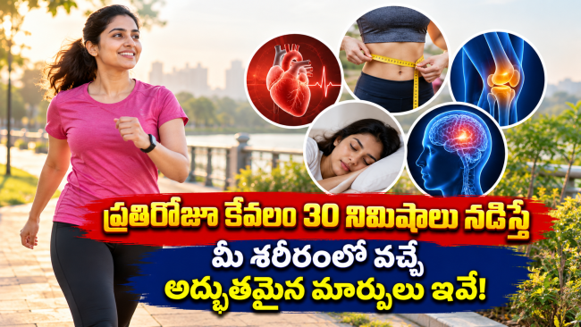 ప్రతిరోజూ కేవలం 30 నిమిషాలు నడిస్తే మీ శరీరంలో వచ్చే అద్భుతమైన మార్పులు ఇవే!