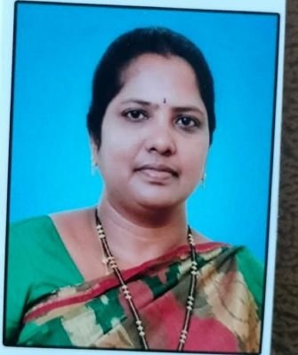 మండలంలో 69పాఠశాలల ఎన్నికలు పూర్తి 