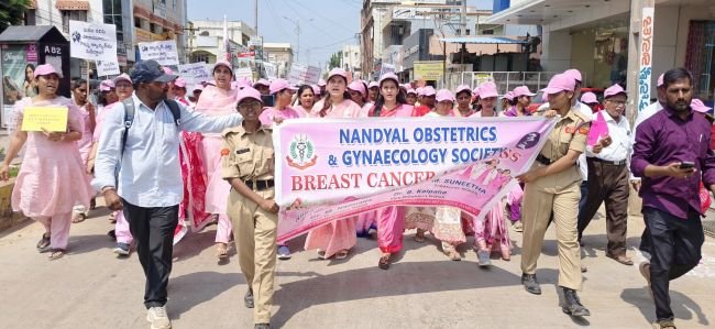 నంద్యాలలో రొమ్ము క్యాన్సర్‌పై ప్రజల్లో అవగాహన పింక్ మారథాన్ ర్యాలీ