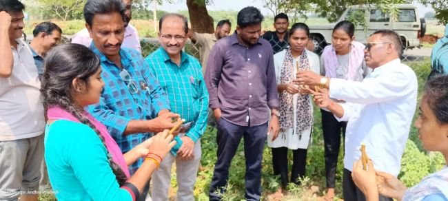 మల్బరి మొక్కల పెంపకం పై అవగాహన.