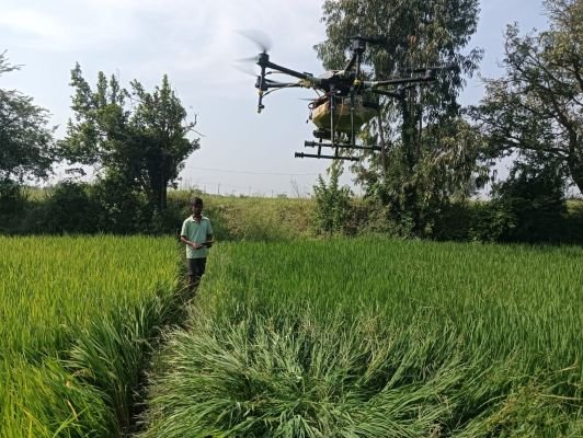 వరి పంటకు మోగి పురుగు నివారణకు స్ప్రే