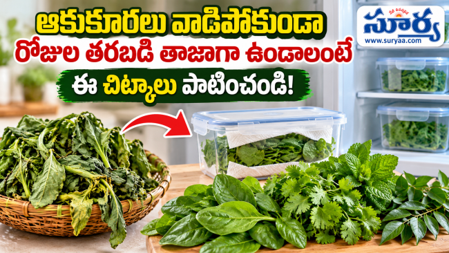 ఆకుకూరలు వాడిపోకుండా రోజుల తరబడి తాజాగా ఉండాలంటే ఈ చిట్కాలు పాటించండి!