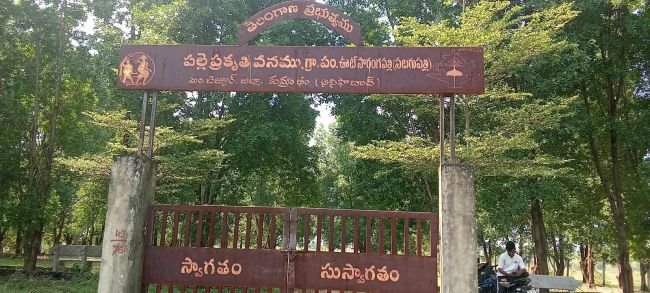 మందుబాబులకు నిలయాలుగా మారుతున్న వనాలు!