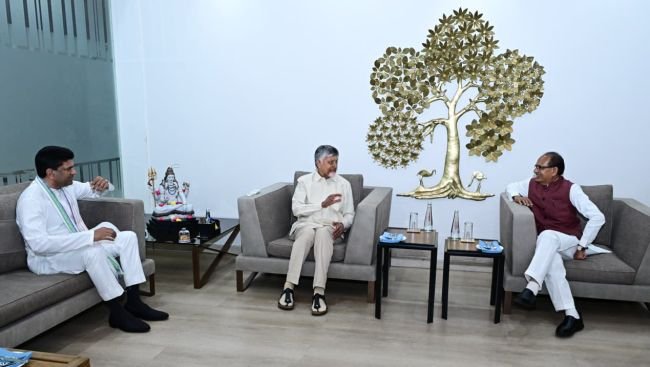 కేంద్ర మంత్రితో సీఎం చంద్రబాబు భేటీ..