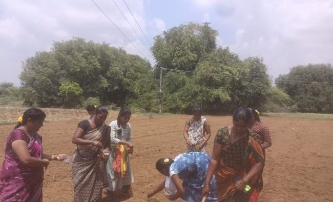ప్రకృతి వ్యవసాయంలో ప్రతిరోజు డబ్బులే!