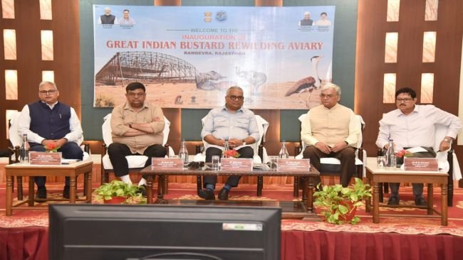 రాజస్థాన్‌లో అరుదైన పక్షుల సంరక్షణలో చారిత్రక మైలురాయి