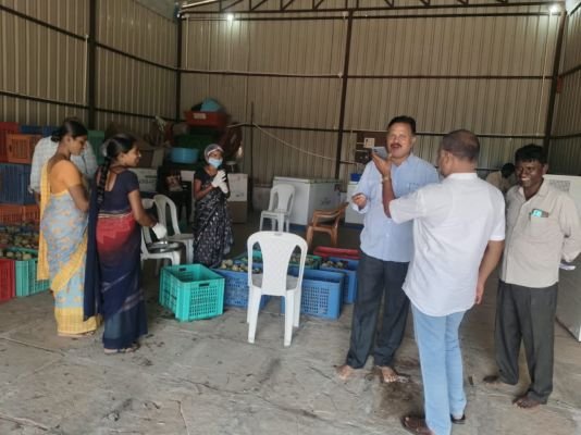 క్యాతన్ పల్లి లో నూతన సీతాఫల్ పల్ప్ కేంద్రం పరిశీలించిన జిల్లా అధికారులు