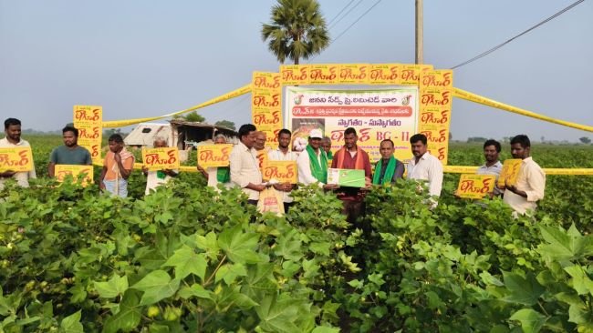 సిరులు కురిపిస్తున్న జననీ సీడ్స్ ఠాగూర్ విత్తనాలు