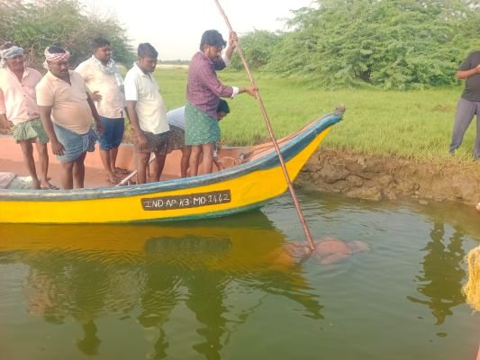 కృష్ణానదిలో గల్లంతైన బాలస్వామి మృతదేహం లభ్యం