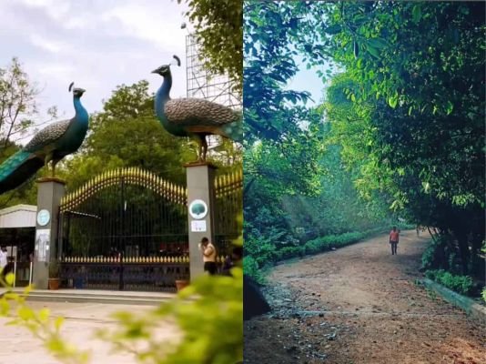 జీ హెచ్ ఎం సీ కీలక నిర్ణయం 