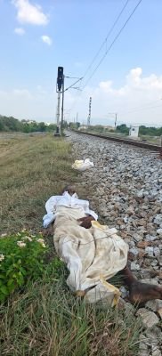 రైలు నుంచి జారిపడి గుర్తుతెలియని వృద్ధుడి మృతి