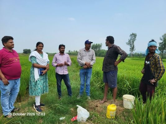  పంట పొలాలను పరిశీలించిన వ్యవసాయ కళాశాల శాస్త్రవేత్తల బృందం