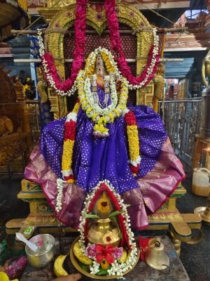 శ్రీ రాజరాజేశ్వరి అమ్మవారి ఆలయంలో వైభవంగా కాత్యాయని వ్రతం
