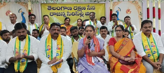 రాజన్న క్షేత్రానికి 'కృష్ణశిల' వైభవం రావాలి 