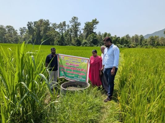 జోగింపేట గ్రామంలో పొలం పిలుస్తుంది కార్యక్రమం నిర్వహించిన ఏవో ఎస్ అవినాష్