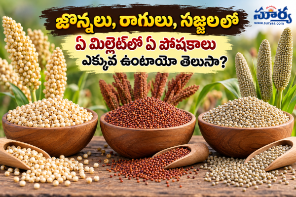 జొన్నలు, రాగులు, సజ్జలలో ఏ మిల్లెట్‌లో ఏ పోషకాలు ఎక్కువ ఉంటాయో తెలుసా?