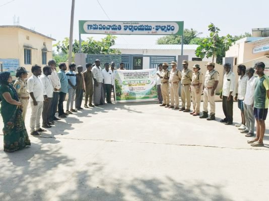 వన్యప్రాణుల సంరక్షణపై అవగాహన: