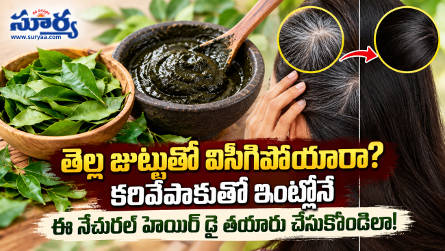 తెల్ల జుట్టుతో విసిగిపోయారా? కరివేపాకుతో ఇంట్లోనే ఈ నేచురల్ హెయిర్ డై తయారు చేసుకోండిలా!