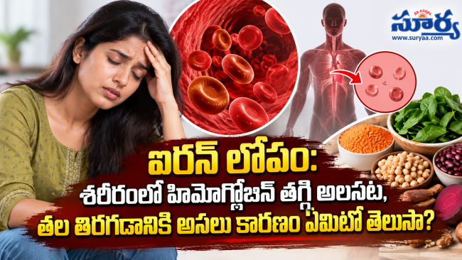 ఐరన్ లోపం: శరీరంలో హిమోగ్లోబిన్ తగ్గి అలసట, తల తిరగడానికి అసలు కారణం ఏమిటో తెలుసా?