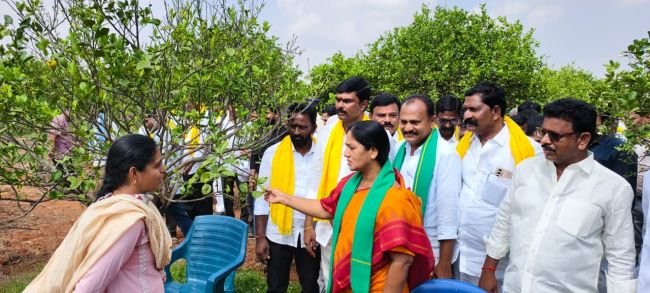 ఉద్యాన రంగంలో విప్లవాత్మక మార్పులు: పరిటాల సునీత