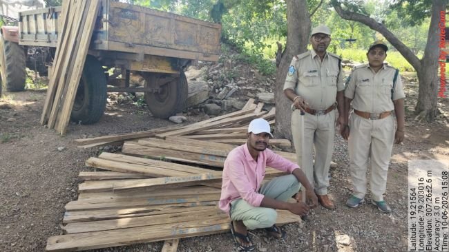 అక్రమంగా టేకు కలప తరలింపు.. ట్రాక్టర్ పట్టివేత - కలప విలువ రూ.5,9000.. ఫారెస్ట్ రేంజ్ ఆఫీసర్ సరోజినీ రాణి