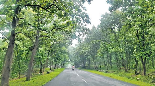 అటవీ శాఖ అధికారుల దాడితో తీవ్ర ఉద్రిక్తత 