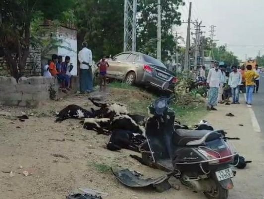 కారు ఢీకొని 18 గొర్రెలు ,మేకలు మృతి 