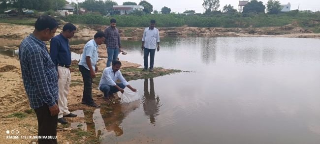 దోమల నివారణకు గంబూసియా చేపలు...