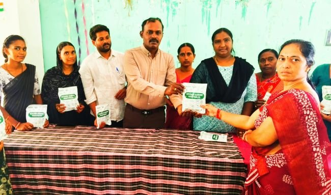 కిచెన్ గార్డెన్... ఆరోగ్యమే మన సంపద
