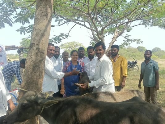 ఉచిత పశు వైద్య శిబిరాన్ని.. సద్వినియోగం చేసుకోవాలి