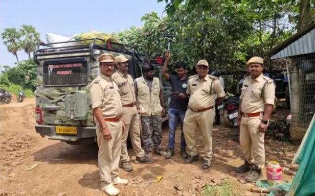 పులి పాదముద్రల గుర్తింపు