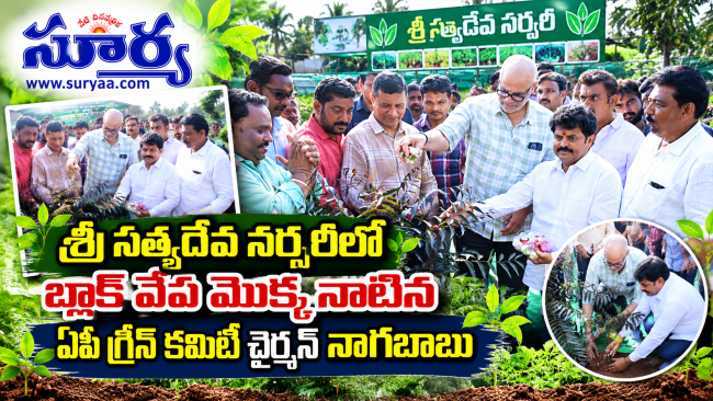శ్రీ సత్యదేవ నర్సరీలో బ్లాక్‌ వేప మొక్క నాటినఏపీ గ్రీన్ ఎగ్జిక్యూటివ్ కమిటీ చైర్మన్ కొణిదల నాగబాబు